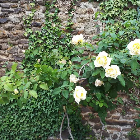 La maison d`hôtes de Constance-2