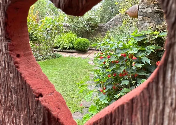 Hôtel accueillant les animaux: Logis Saint-Flaceau